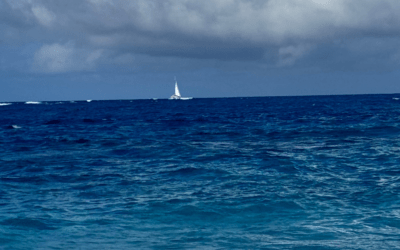 The Leadership Skill We Forget: Stepping Away